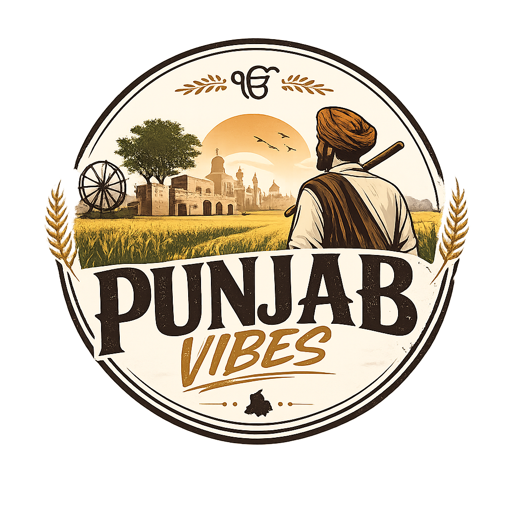 punjabvibes.in